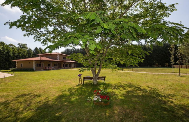 HolaCamp Camino - Photo 12