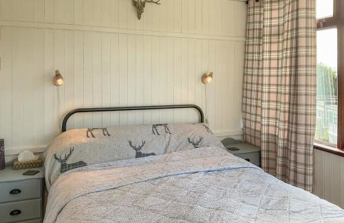 Nolton Haven - Giddy Puffin - Foto 6