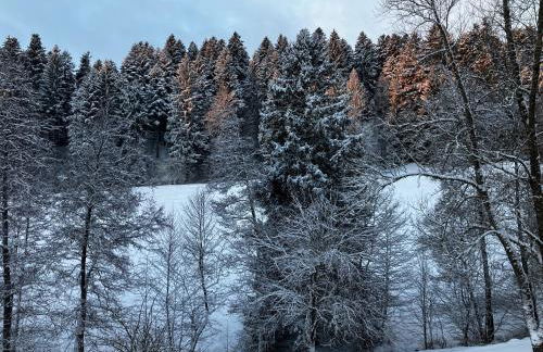 Ferienwohnung am Leinbach, nahe Freudenstadt - Photo 6