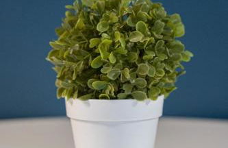 Sevenstay Apartments Bold Street - Foto 32