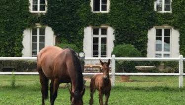 Domaine de Valmeray la roulotte d'Elise - Foto 5