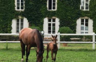 Domaine de Valmeray la roulotte d'Elise - Foto 5