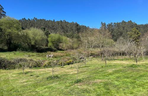 Casa de Campo Pumarada de Oirín - Foto 7