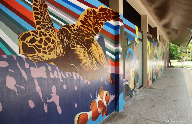 Dos Palmas Island Resort & Spa - Foto 45