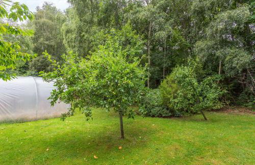 Bridge House - Foto 30