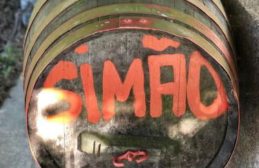 Casa da Quinta da Prelada Simão - Foto 67