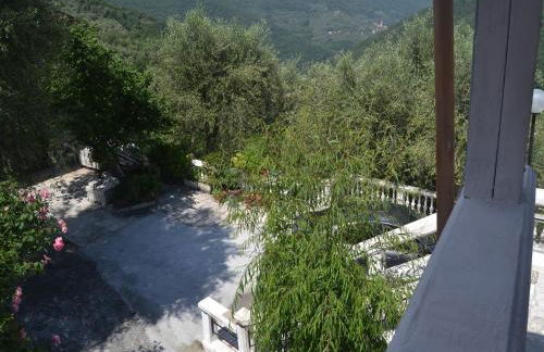 Nature Retreat in Testico - Photo 64