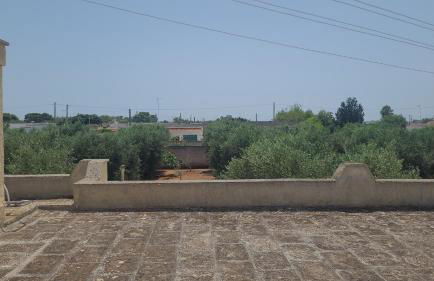 Villa Oliveto - Foto 14