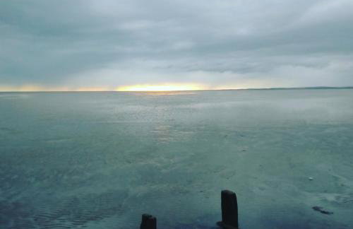 The Orchards - Foto 16