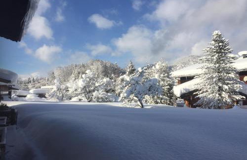 Hafnerlehen - Foto 19