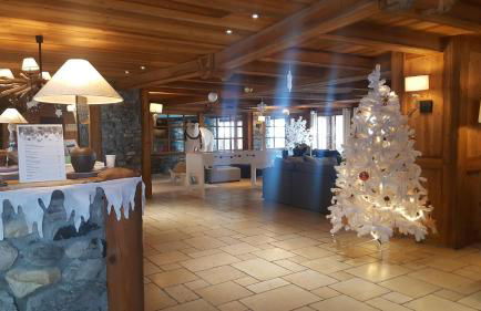 Apartment A 01 in St Martin de Belleville - Foto 37