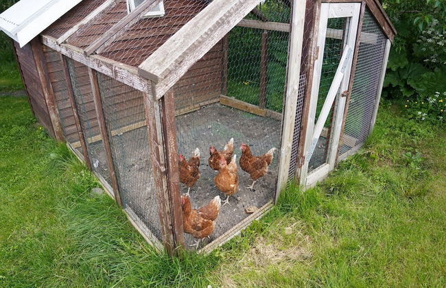 Hólakot Cabin In Golden Circle - Foto 65