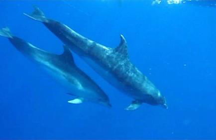 Appartamento Ocean View - Foto 70