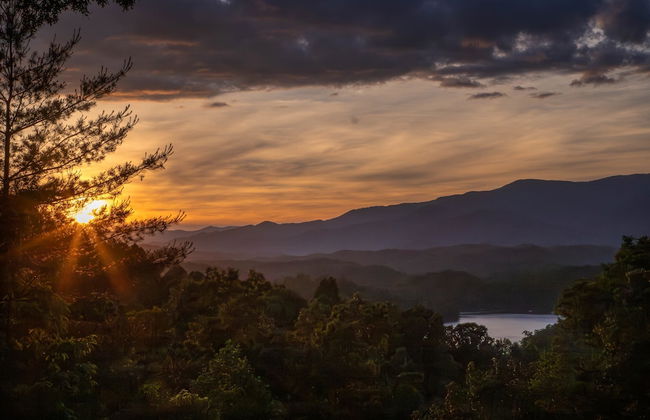 Luxury 3 2 5 Cabin Lake Views Theatre Gameroom - Foto 69