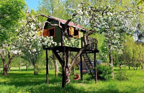 Willa Reglówka Stylowy dom Pachnący ogród - Foto 34