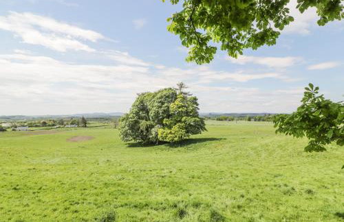 Garden Cottage - Foto 15