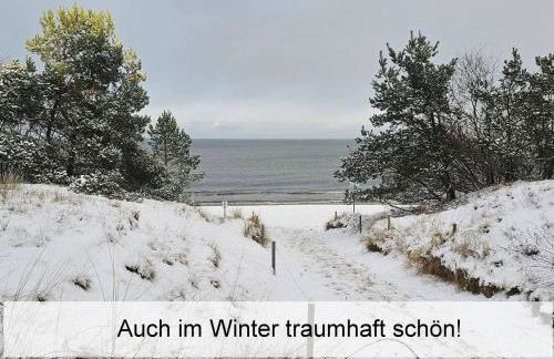 Ostsee-Urlaub-Zempin direkt am Küstenwald, nur wenige Minuten zum Strand, optimal für Paare mit 1 Hund bis 45 cm Schulterhöhe - Foto 31