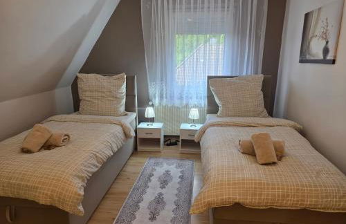 FeWO-Rafaelo 2 - Foto 9