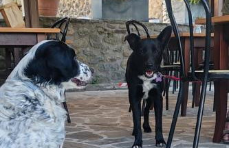 Agripodere il Falco - Tuscany Nature & Relax - Photo 9