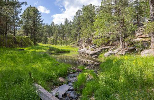 Custer Gem - Foto 46