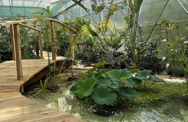 tenuta castel dell'aquila - Photo 50