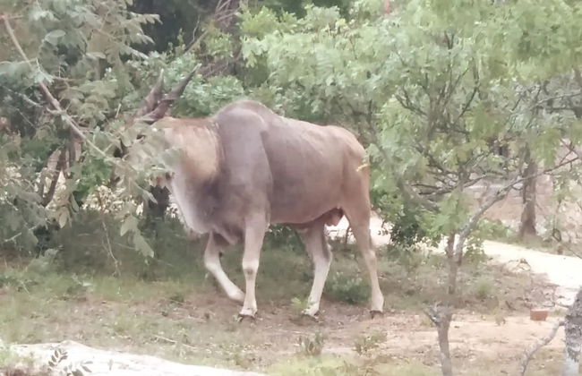 Nyanga Home set in a Secure Private Village - 2033 - Foto 58