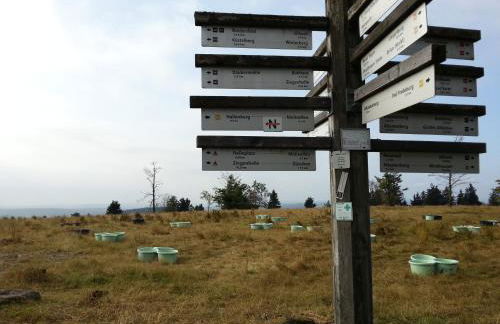 Ferienwohnungen Luge - Winterberg - Foto 63