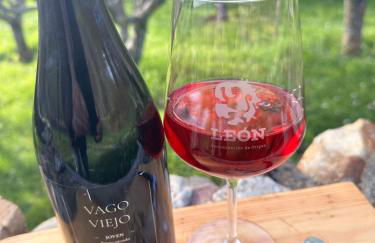 Los Tres Hórreos - Foto 17