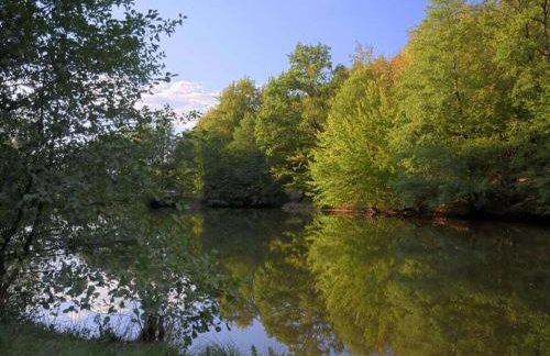 Castle Apartment "Cook" - Photo 22