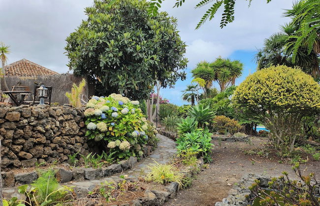 Oasis Hill Botanical Garden - Foto 57