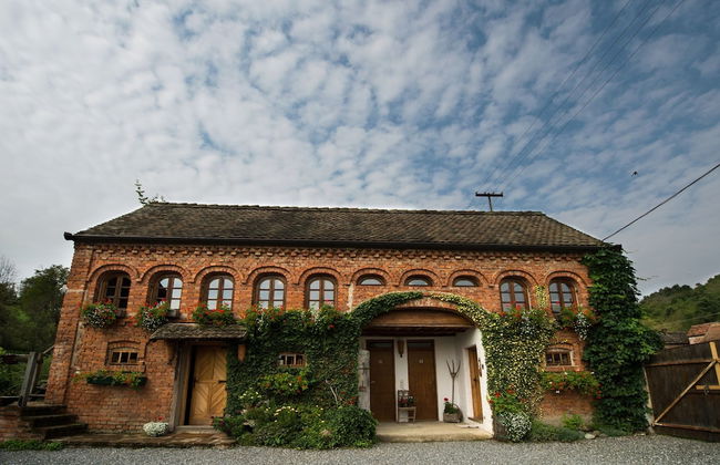 Country House Stara Kapela - Foto 30