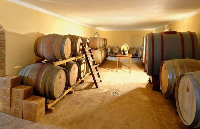 Verdidea - PODERE MONTI - Photo 60