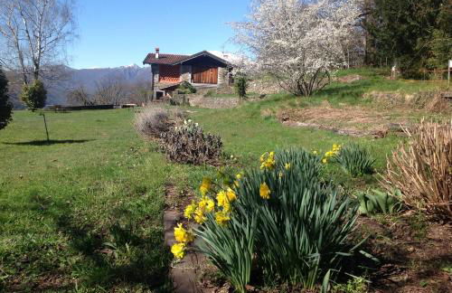 Il Ciliegio Selvatico - Foto 15