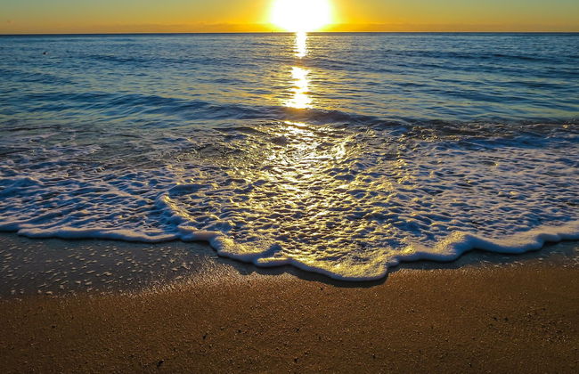 Roydon Beachfront Apartments - Photo 52