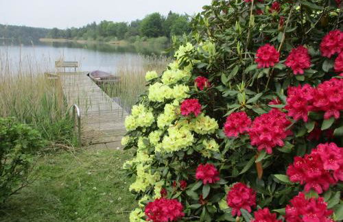 Apartment ,,Garconniere'' am See - Foto 6