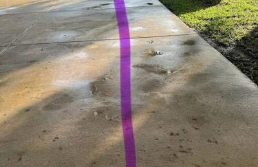 Florida Paradise - Foto 18