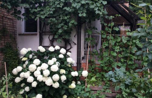 Pokój w domu z ogrodem w Milanówku - Foto 27