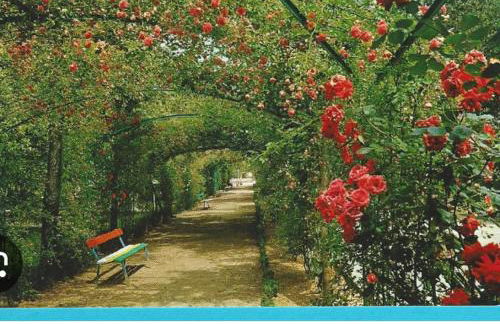 La perla di Maria - Foto 62