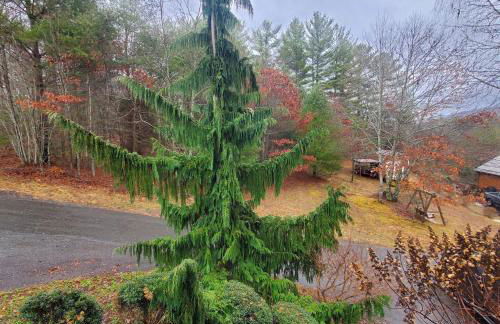 Evergreen Retreat - Foto 1