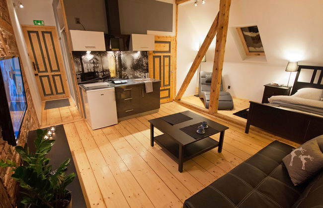 Apartment in Szczawno-Zdrój with garden - Photo 8