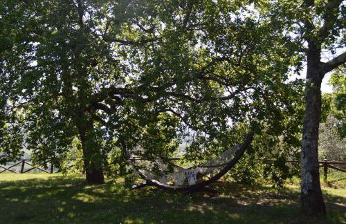 Holiday home in Arezzo - Toskana 39940 - Foto 18