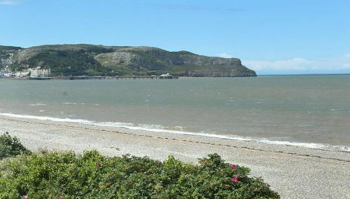 Gwynva Lodge - Foto 3