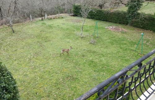 GITE LA CÔTE de GRAVES - Photo 19