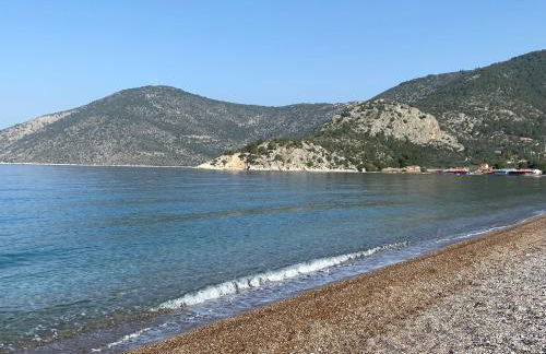 Georgia Psatha - Foto 23