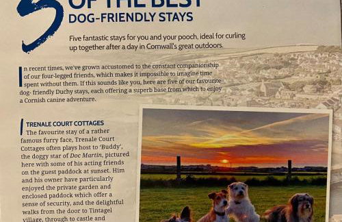 Buntings Cottage at Trenale Court Cottages - Foto 13