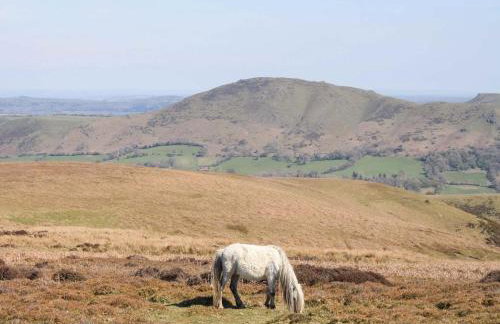 Home Farm House - Foto 40