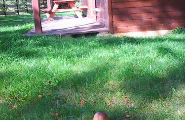 Domek Rokitki - Foto 19