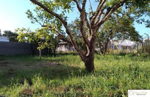 Casa D'Avó (1º Andar) - Photo 15