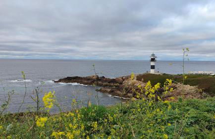 O meo refuxio - Foto 16