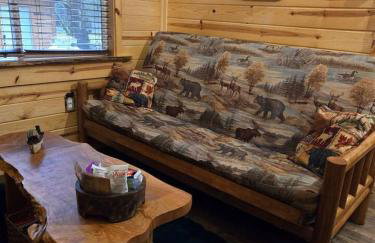 Knotty Shack- Unique Tiny Log Cabin with Hot Tub - Foto 3